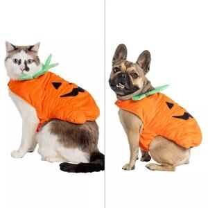Thrills & Chills Pet Pumpkin Costume XL Dog Orange Plush Halloween Outfit NWT
